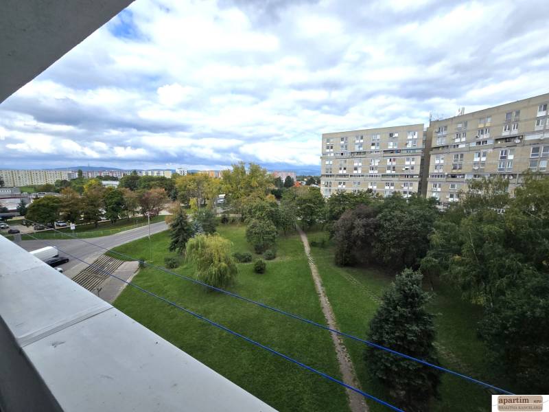 20251001_124218.jpg